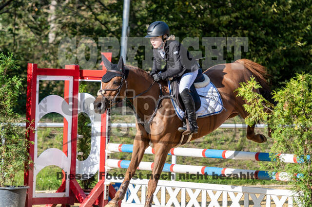 RFV Dinslaken-Hiesfeld (Herbstturnier)