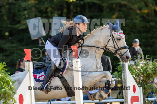 RFV Dinslaken-Hiesfeld (Herbstturnier)