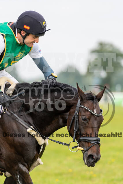 Deutsche Meisterschaft Vielseitigkeit (Luhmühlen)