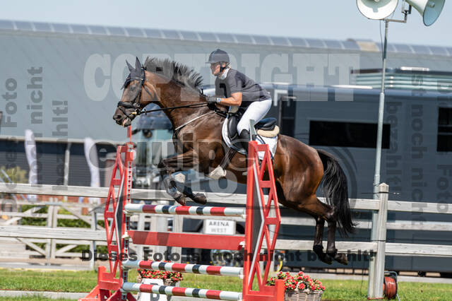 Kronenberg - De Peelbergen (August 2020)