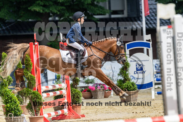 Goldene Schärpe 2021 - Ponys