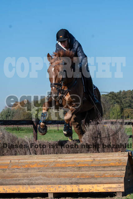 Vielseitigkeitslehrgang mit Jürg Kurbel (9.+10.11.2019)