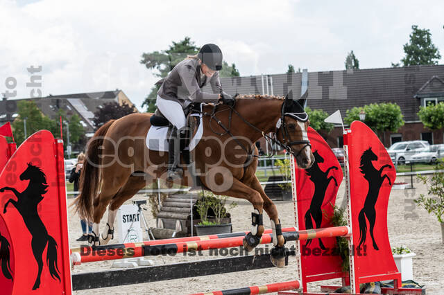 Late-Entry-Vielseitigkeit Langenfeld (06.+07.07.2020)