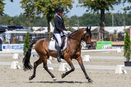 Kronenberg - De Peelbergen (August 2020)