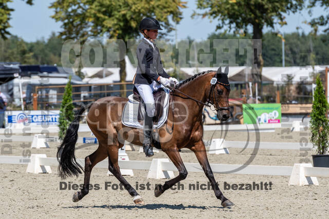 Kronenberg - De Peelbergen (August 2020)