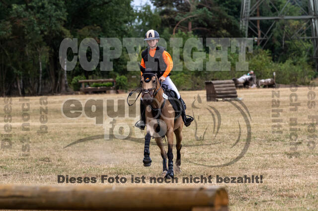 Late-Entry Vielseitigkeit Hamminkeln/Wesel (01.+02.08.2020)