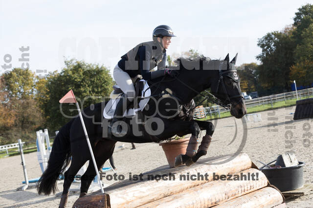 IGV Lehrgang der Sieger der Cups mit Frank Ostholt