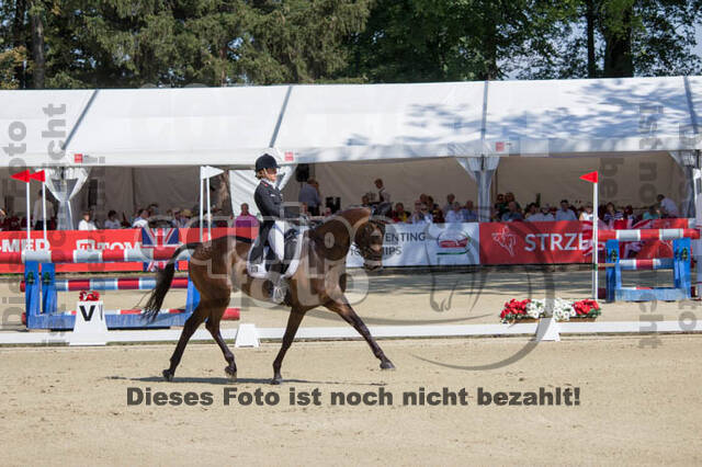 FEI European Championship Eventing 2017