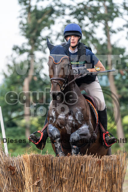 De Peelbergen (August 2020)