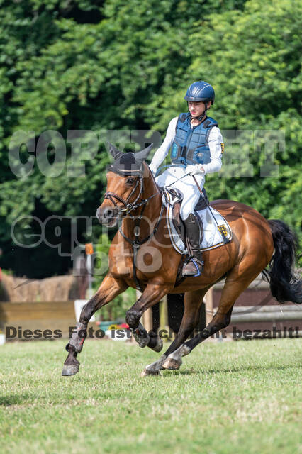 Goldene Schärpe 2021 - Ponys