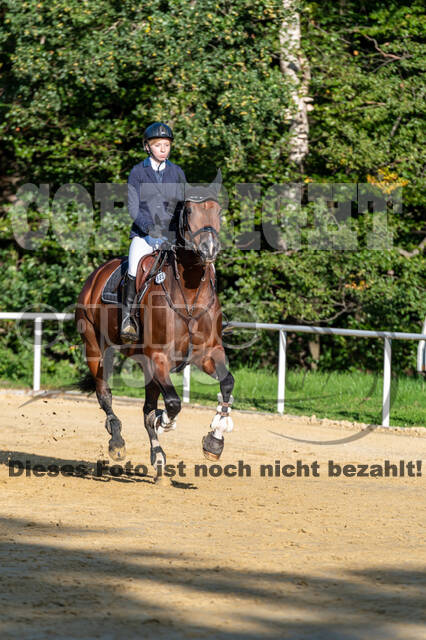 RFV Dinslaken-Hiesfeld (Herbstturnier)