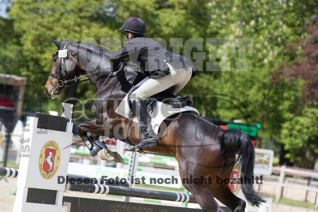 Sterne über Münster 2019 - CCI***S