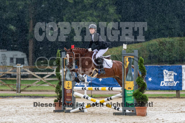 Goldene Schärpe 2021 - Ponys