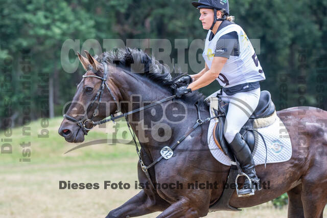 Late-Entry Vielseitigkeit Hamminkeln/Wesel (01.+02.08.2020)