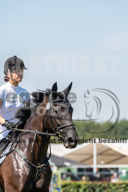 Kronenberg - De Peelbergen (August 2020)