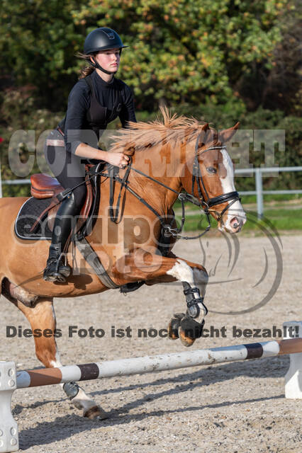 IGV Lehrgang der Sieger der Cups mit Frank Ostholt