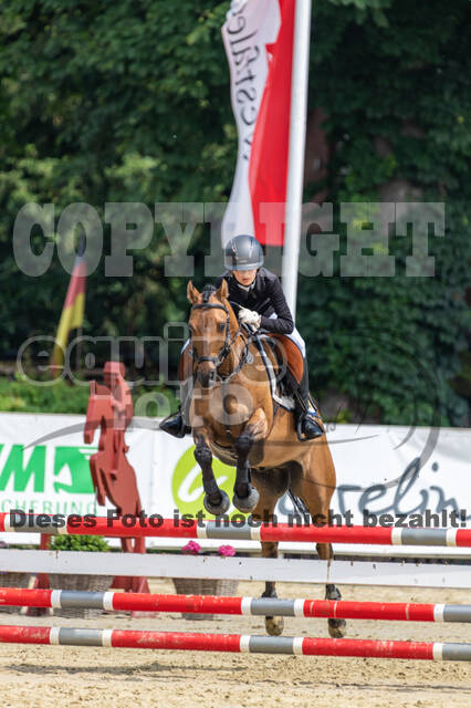 Goldene Schärpe 2021 - Ponys