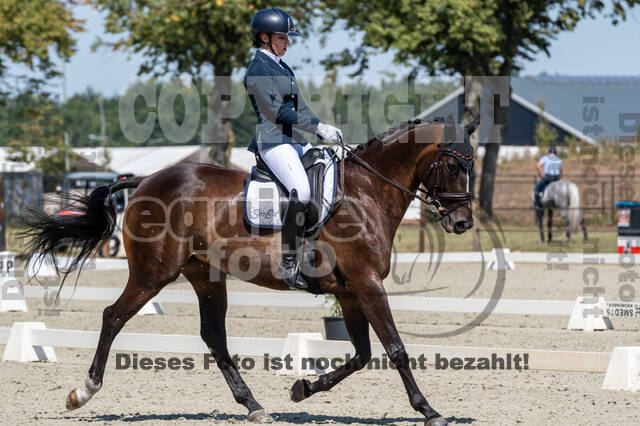 Kronenberg - De Peelbergen (August 2020)