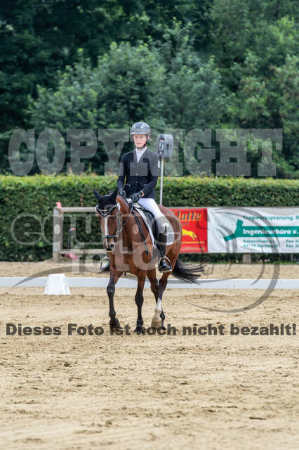 Goldene Schärpe 2021 - Ponys