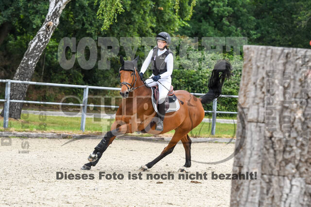 Late-Entry-Vielseitigkeit Langenfeld (11.+13./14.06.2020)