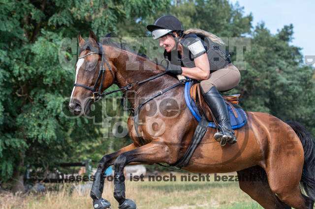 Hunter Geländetraining (16.08.2020)