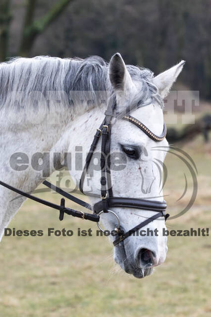 Geländetraining RSV St. Hubertus Wesel Obrighoven