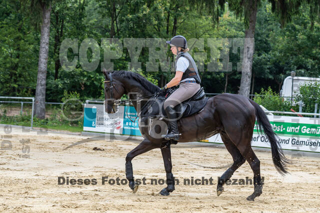 Hunter Geländetraining 10.07.2021 (Sonsbeck)