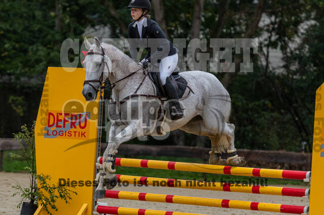 Vielseitigkeit RSV Wesel Obrighoven (26.+27.09.2020)