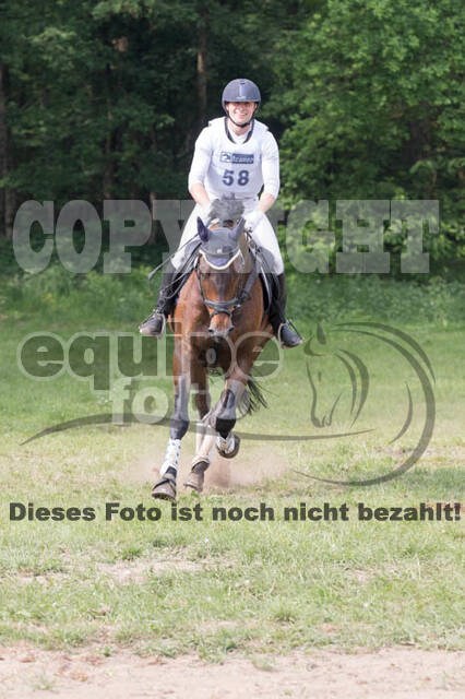 Vielseitigkeitsturnier ZRFV von Lützow Hamminkeln