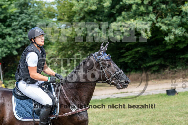 Late-Entry-Vielseitigkeit Langenfeld (11.+13./14.06.2020)