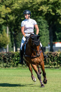 Kronenberg - De Peelbergen (August 2020)