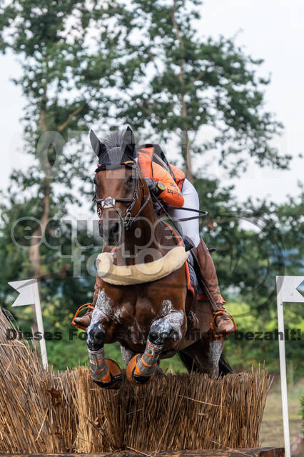 De Peelbergen (August 2020)