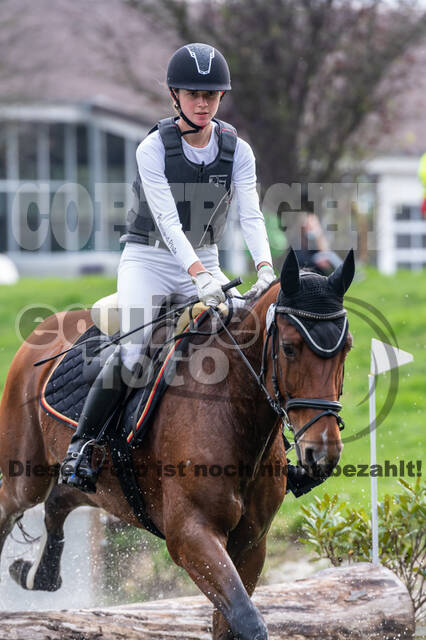 Goldene Schärpe 2020 - Pferde