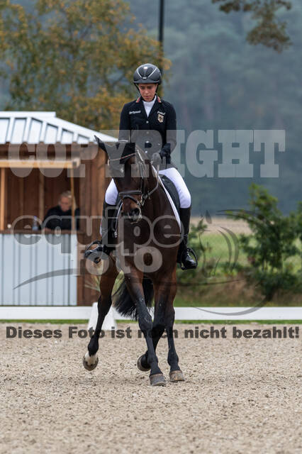 Deutsche Meisterschaft Vielseitigkeit (Luhmühlen)