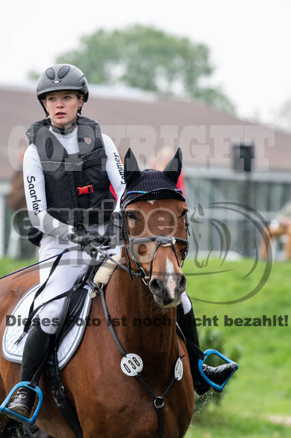 Goldene Schärpe 2020 - Pferde