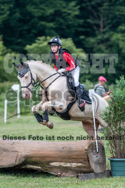Goldene Schärpe 2021 - Ponys