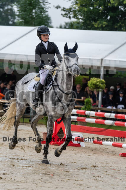 Goldene Schärpe 2021 - Ponys