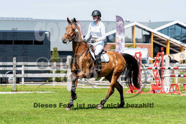 Kronenberg - De Peelbergen (August 2020)