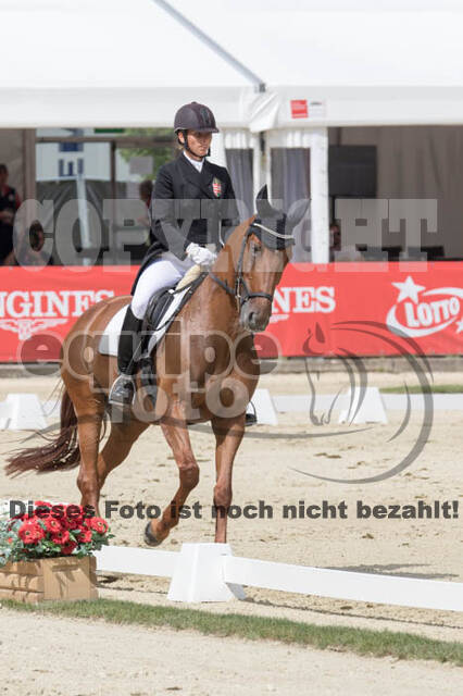 FEI European Championship Eventing 2017