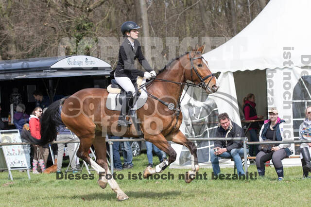 Frühjahrsvielseitigkeit RV Seydlitz Kamp