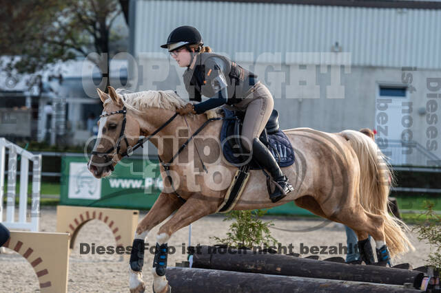 IGV Lehrgang der Sieger der Cups mit Frank Ostholt