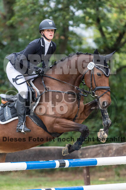 Vielseitigkeit RSV Wesel Obrighoven (26.+27.09.2020)