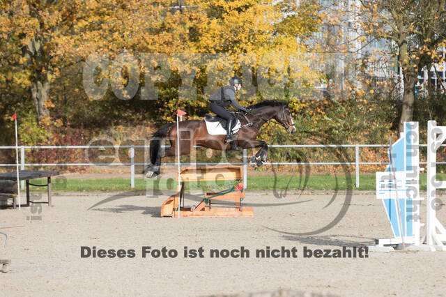 IGV Lehrgang der Sieger der Cups mit Frank Ostholt