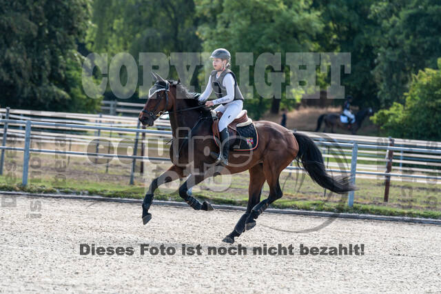 Late-Entry-Vielseitigkeit Langenfeld (11.+13./14.06.2020)
