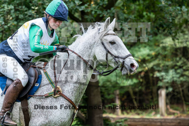 Vielseitigkeit RSV Wesel Obrighoven (26.+27.09.2020)