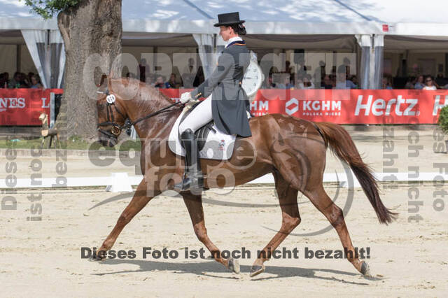 FEI European Championship Eventing 2017