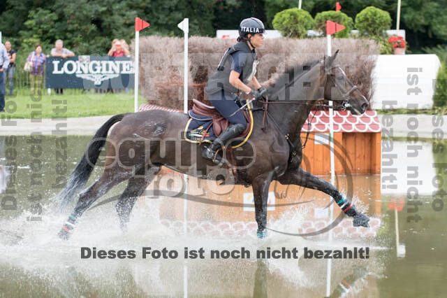 FEI European Championship