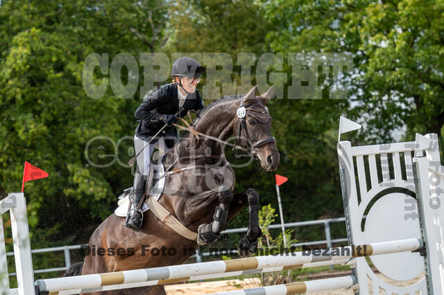 Landesturnier Rheinland, Vielseitigkeit, 22.+23.08.2020