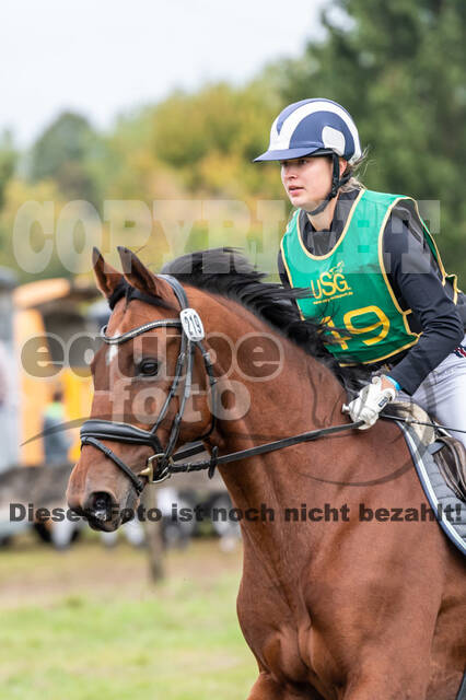 Vielseitigkeit RSV Wesel Obrighoven (26.+27.09.2020)