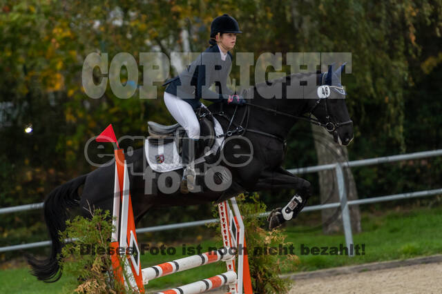 Reiter Schleswig-Holstein